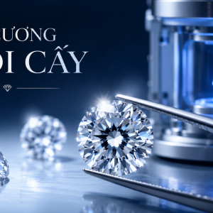 kim-cuong-nuoi-cay-buoc-tien-moi-trong-the-gioi-kim-cuong-hien-dai